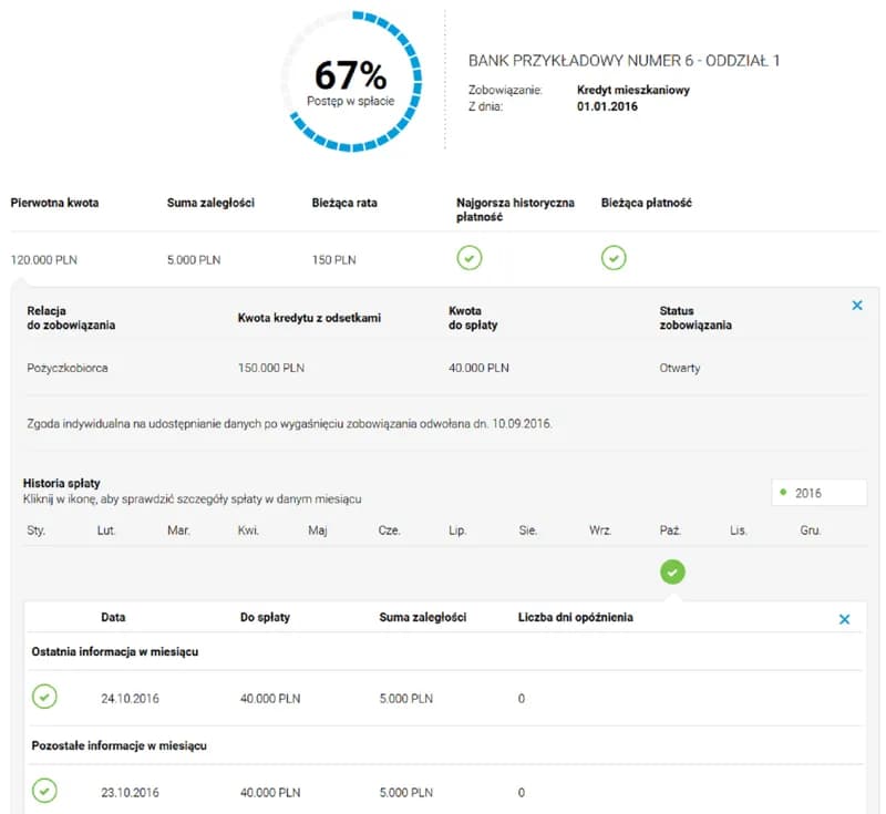 Raport BIK czy warto? Odkryj korzyści i pułapki sprawdzania