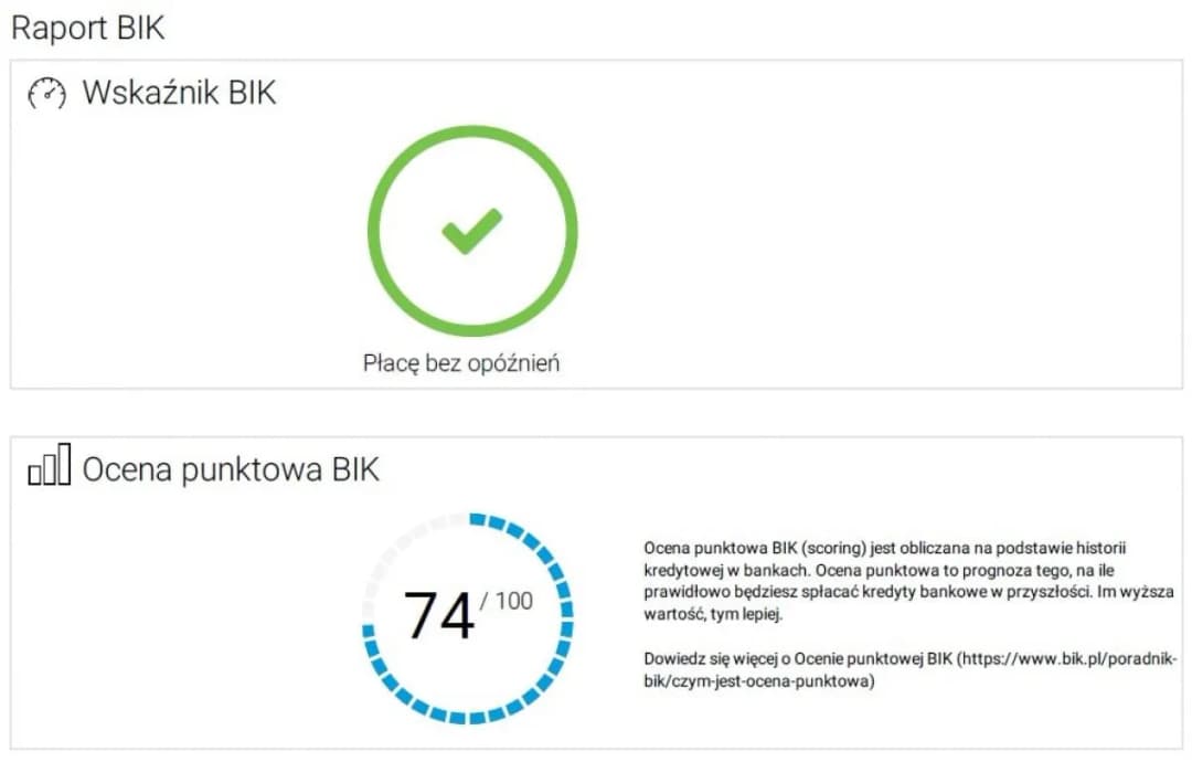 Jak sprawdzić BIK i uniknąć błędów w swojej historii kredytowej