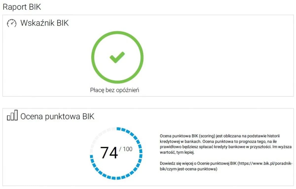 Jak sprawdzić BIK i uniknąć błędów w swojej historii kredytowej
