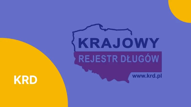 Kiedy wpis do KRD? Sprawdź, jak uniknąć nieprzyjemności z długami