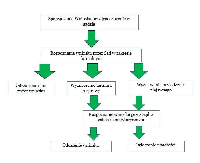 Co sprawdza sąd w upadłości konsumenckiej? Kluczowe aspekty analizy